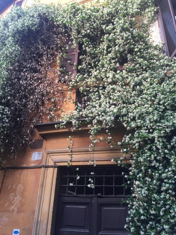 Mgpgroup Guest House Navona 2 Rome Bagian luar foto